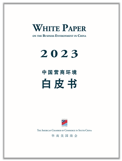 The 2023 'White Paper'